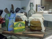Kombucha tea, Homemade recipe, mushrooms, dining jackson hole, restaurants jackson hole, budget dining, DIY