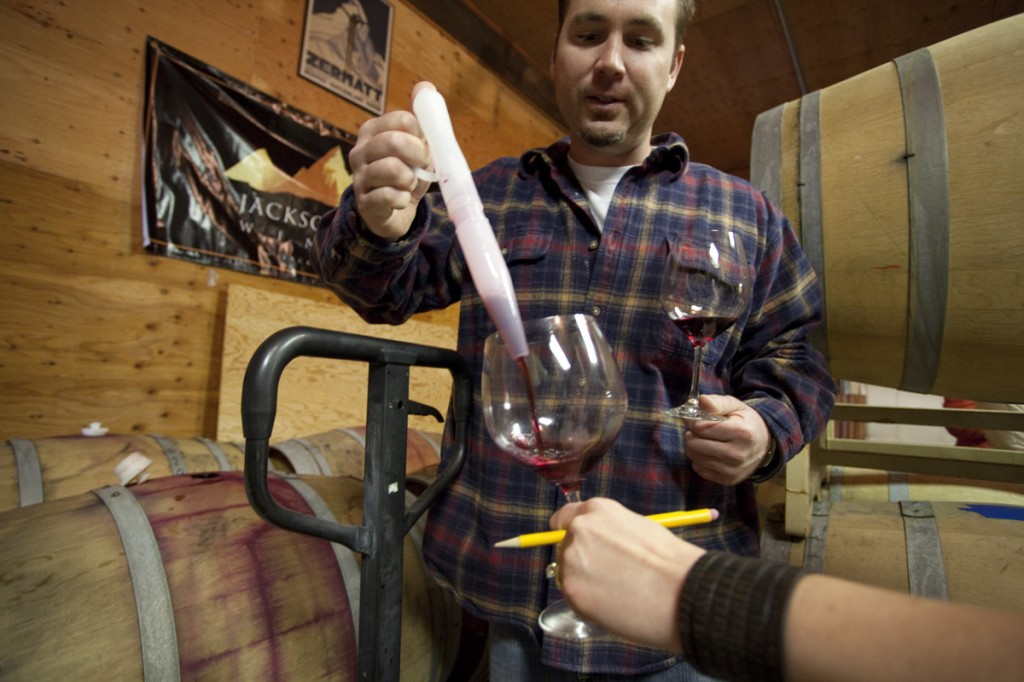 Cabernet Samples