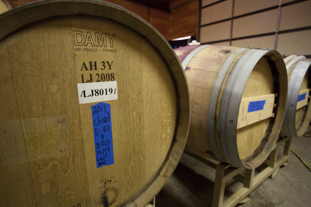 Eleven barrels of Chardonnay aging