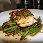 Halibut