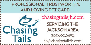 Chasing Tails