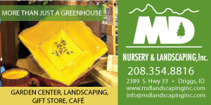 MD Nursery