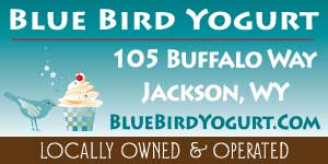 Bluebird Yogurt