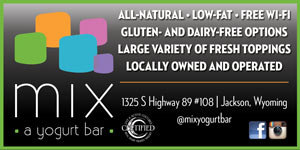 Mix Yogurt