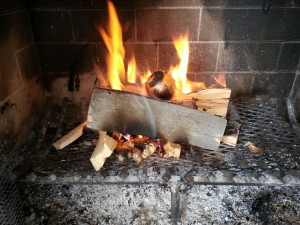 Roasting onion and ginger