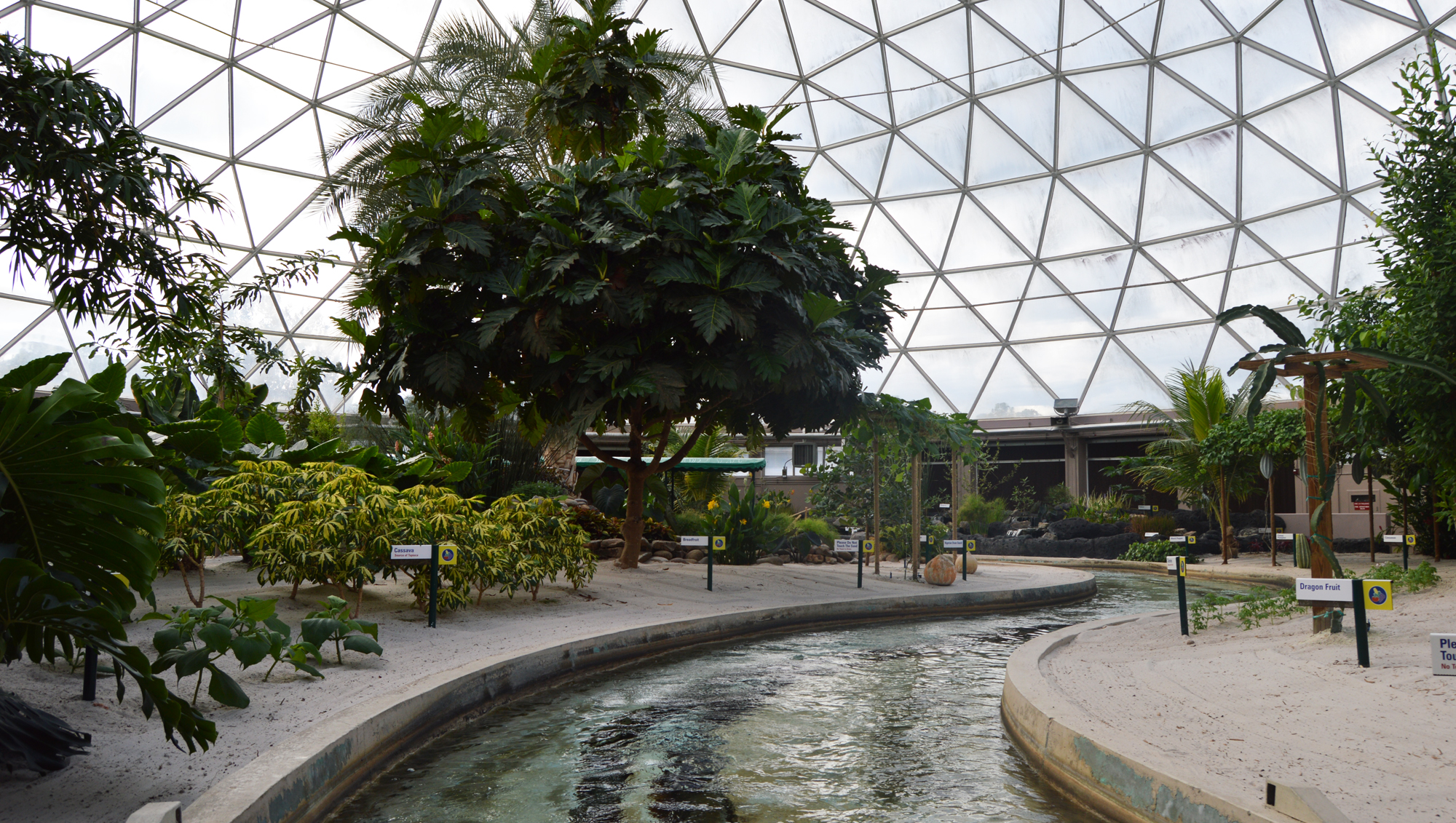 Living With The Land takes guests through a large green house where most of the food for EPCOT is grown. 