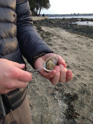 With some practice, you will even be able to shuck oysters with a rental car key