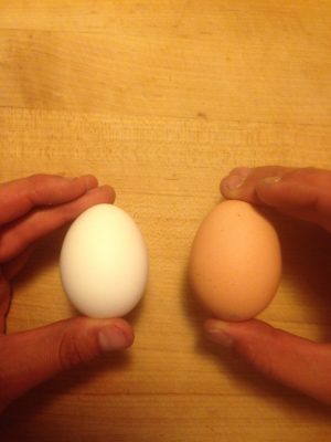 Conventional on your left farm fresh on your right