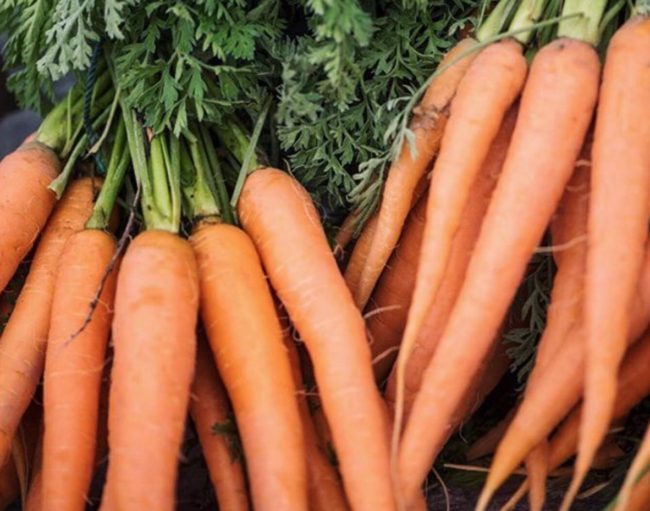Q Roadhouse Farmers Market Carrots