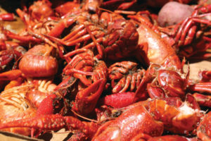 crawfish