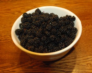 bowl-berries