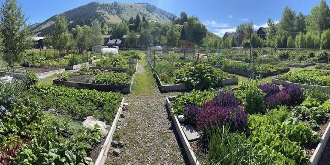 slow food in the tetons