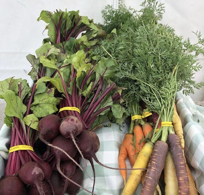 Slow food in the tetons