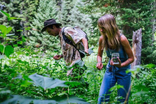 in season wood fired pizza