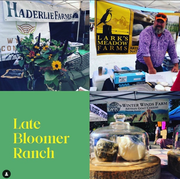 Winter Market Fest Farms