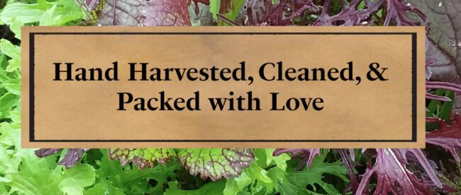 snake river seed coop