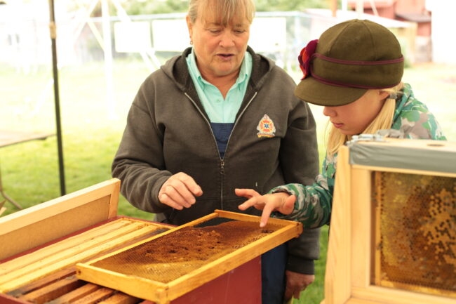 Glorietta Slow Food seasonal workshop dinners