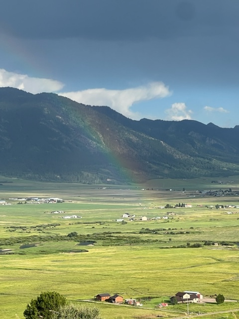 Farmer's Market dinner on the farm