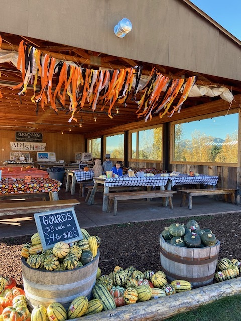 Dornan's Pumpkin Patch