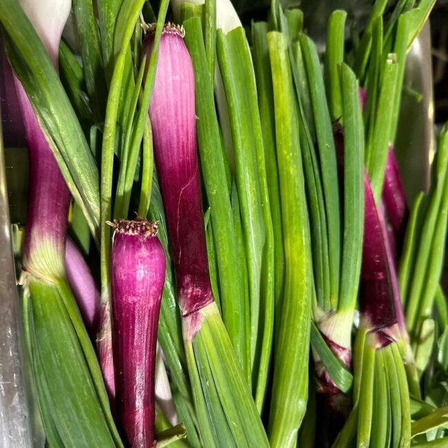 produce at Chez Panisse
