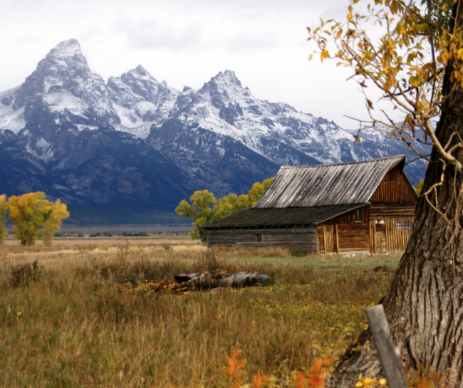 grand teton national park in fall