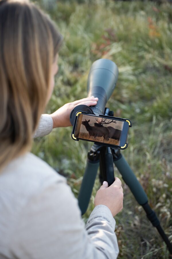 jackson hole ecotour adventures