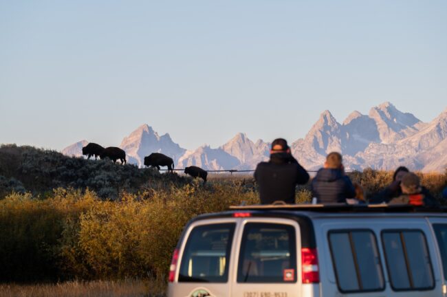 jackson hole ecotour adventures