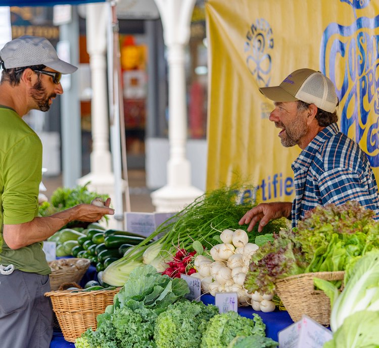 Jackson Hole Farmers Market on the Town Square
