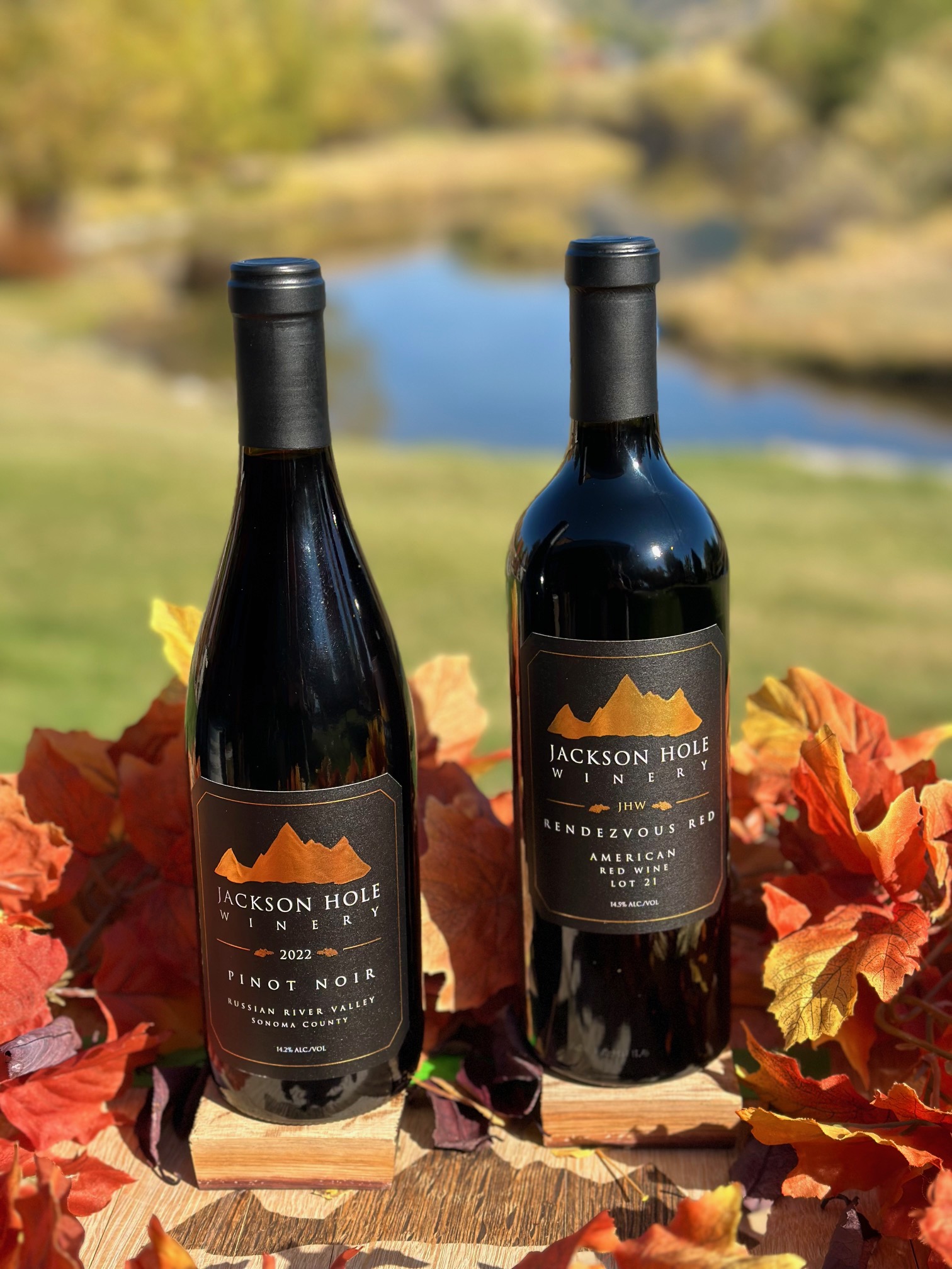 JH Winery Best of Class