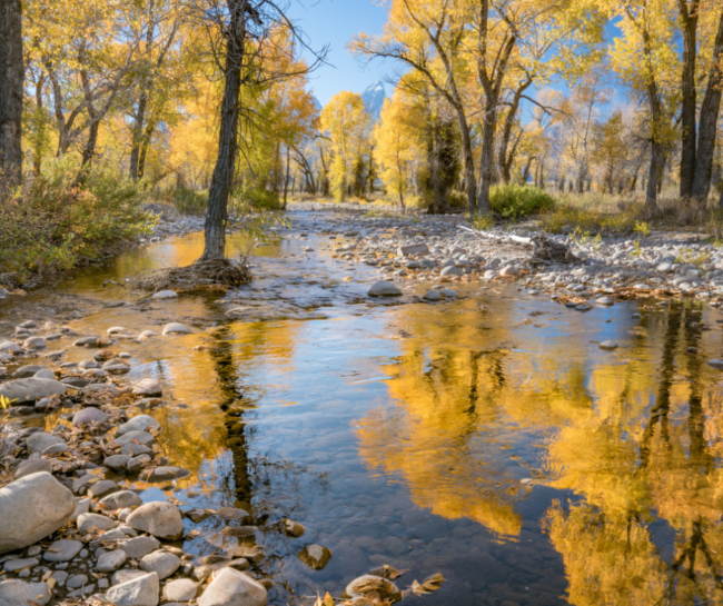grand teton national park in fall