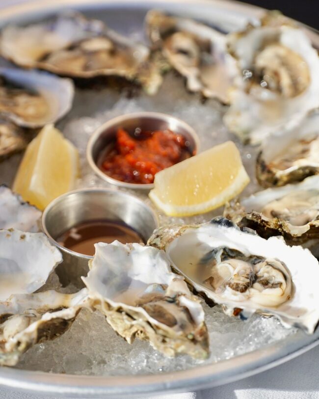 local oysters