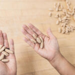 Glorietta pasta making