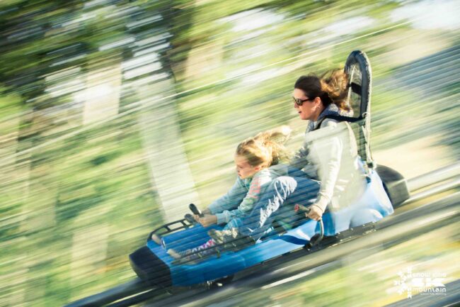 Snow King Cowboy Coaster