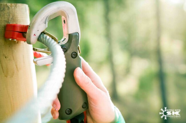 Snow King Treetop Adventure