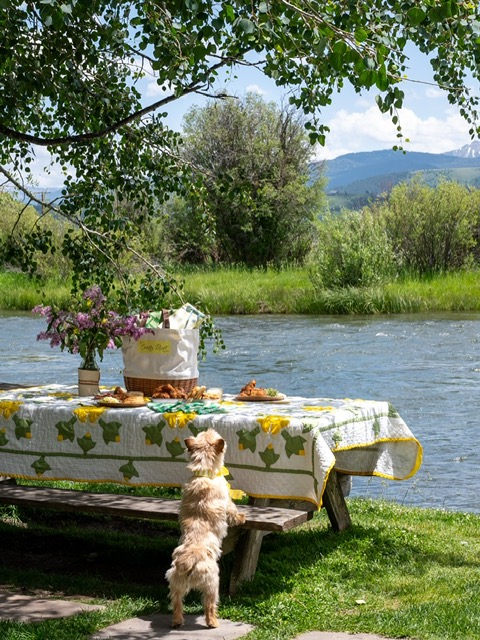 Lela Rose Pret-a-picnic 4