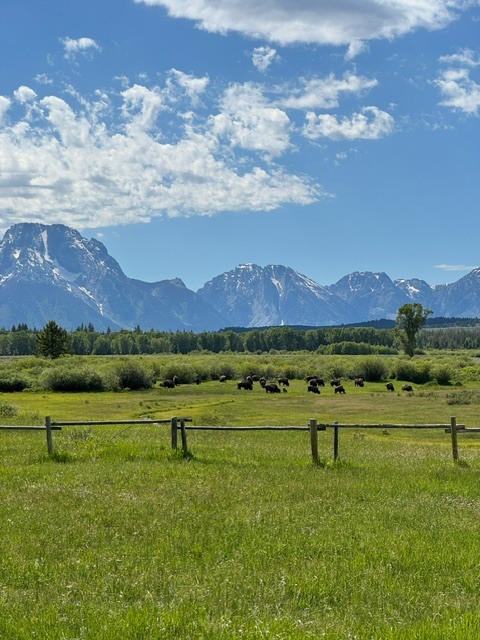 teton view